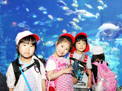 きれいなお魚がいっぱい!
