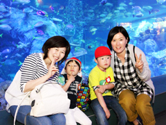【親子遠足】 鳥羽水族館に来ました。