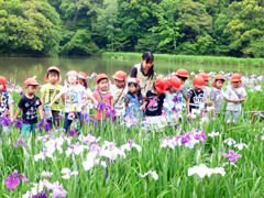 「外宮さんのしょうぶ、素敵だね!」